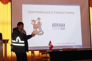 Senasa - Acciones para la prevención de la sanidad ganadera en Puno
