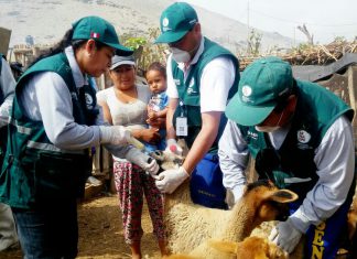 #UnaSolaFuerza Senasa en las regiones