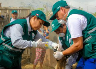 Áncash: Senasa atenderá a 500 animales en campaña sanitaria gratuita
