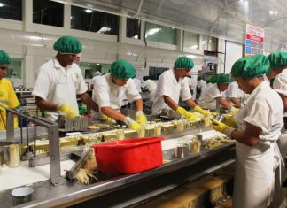 Adex: agroexportaciones generarán 1.7 millones de puestos de trabajo este año