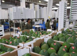 Minagri: Mercados mayoristas de Lima reportaron cifras record de ingreso de alimentos