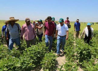 Minagri redobla acciones para rehabilitar la actividad agrícola en Huarmey