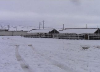 Senamhi: Nevadas en zonas altas de sierra sur hasta el 18 de abril
