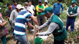 Senasa - Charlas demostrativas del Senasa a productores de copoazú, cacao y naranja