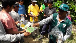 Senasa - Charlas demostrativas del Senasa a productores de copoazú, cacao y naranja
