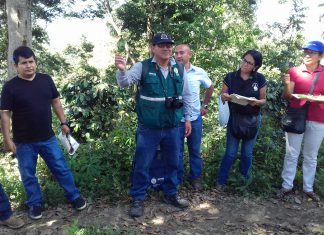 San Martín: Senasa brindará asistencia técnica a 32 municipios en MIP