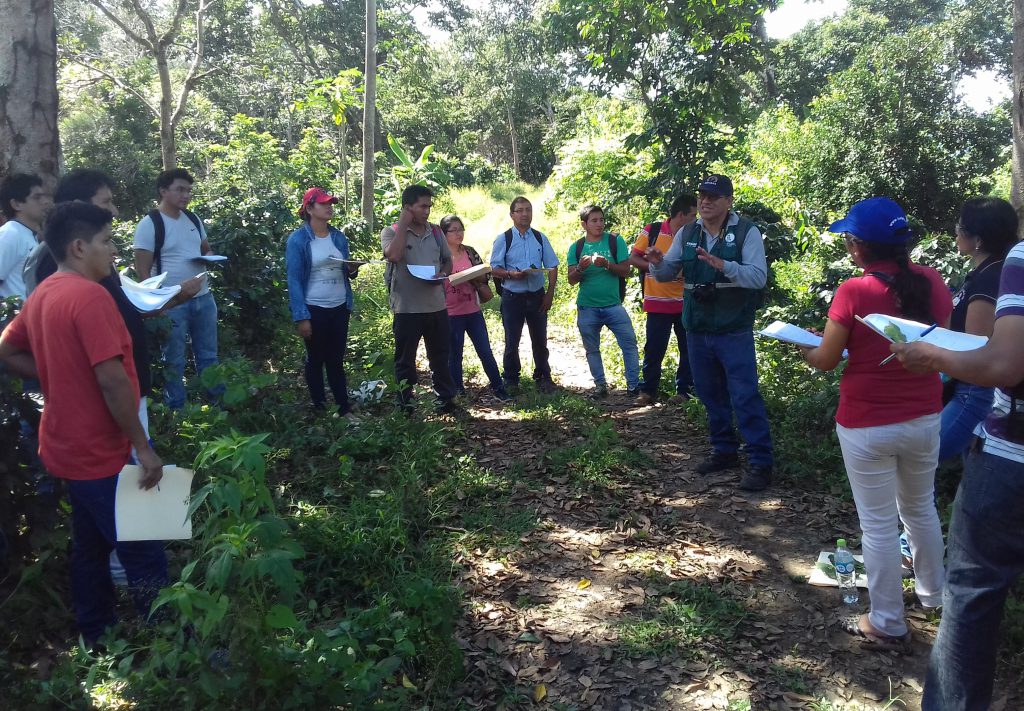 Senasa brindará asistencia técnica a 32 municipios en MIP