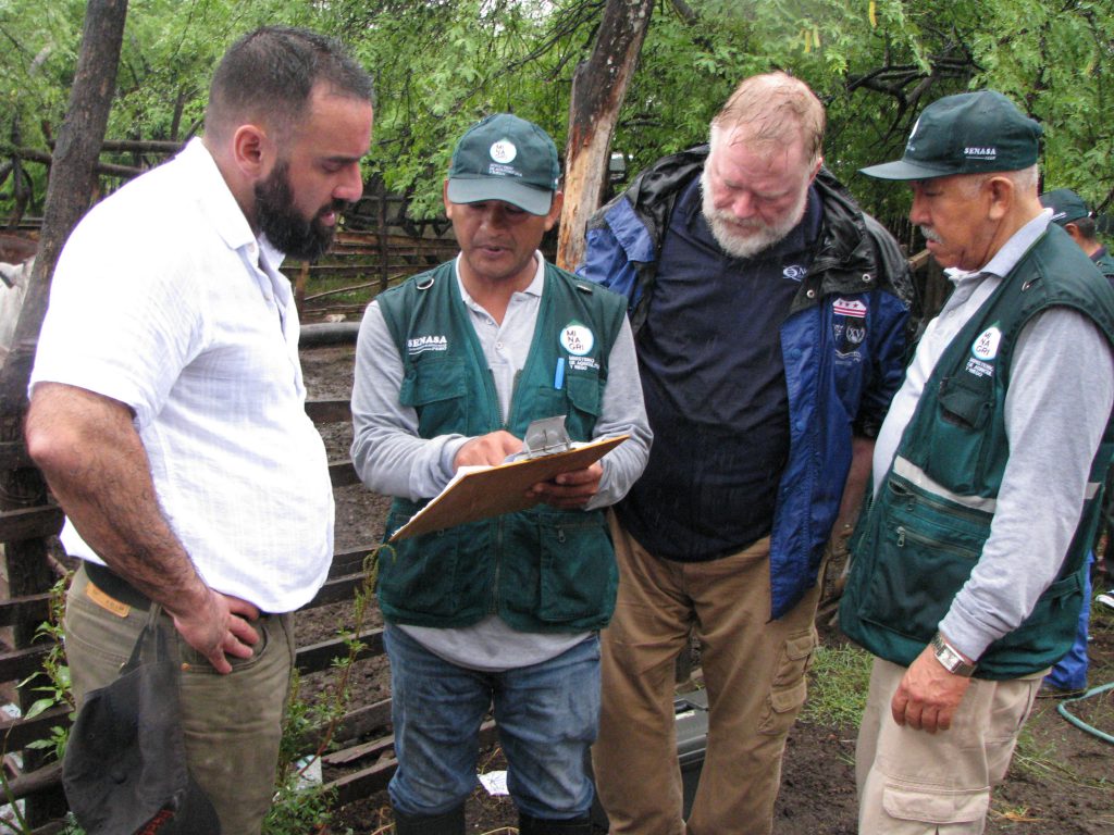 Senasa - APHIS - USDA evalúa sistema sanitario del Perú para reconocerlo como país libre de Fiebre Aftosa