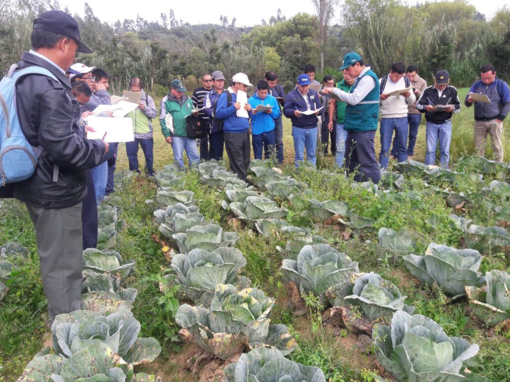 Senasa realiza taller sobre Manejo Integrado de Plagas en Cajamarca