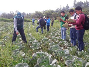 Senasa realiza taller sobre Manejo Integrado de Plagas en Cajamarca