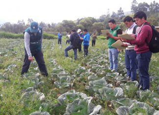 Senasa realiza taller sobre Manejo Integrado de Plagas en Cajamarca