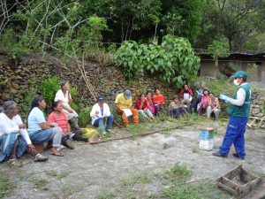 Senasa mantiene bajo control plaga de roedores en el Cusco