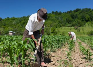 Andina – Congreso: Gobierno prioriza proyecto de irrigación del Río Arma en Arequipa