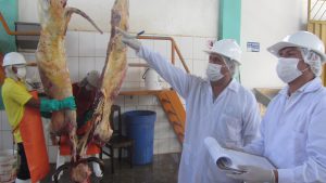 Senasa - Supervisión al Matadero Municipal de Aguaytía para verificar condiciones sanitarias