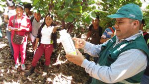 Senasa - Capacitación a productores y estudiantes de San Martín en MIP Cacao