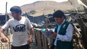 Senasa realizará campaña sanitaria gratuita de vacunación en Huaral