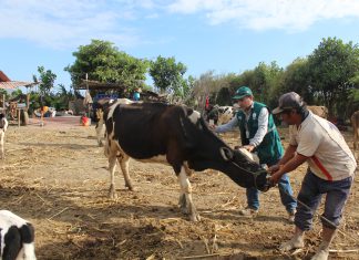 MINAGRI brinda atención a ganaderos afectados por el desborde del río La Leche