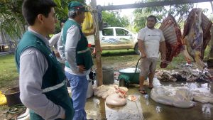 Senasa: Operativo en mataderos informales de Ucayali