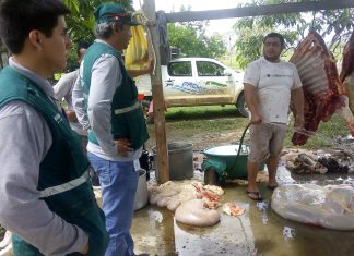 Senasa: Operativo en mataderos informales de Ucayali