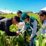 Senasa instruye a equipos técnicos para implementación de MIP en municipios