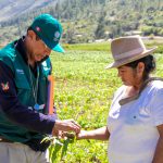 Senasa instruye a equipos técnicos para implementación de MIP en municipios