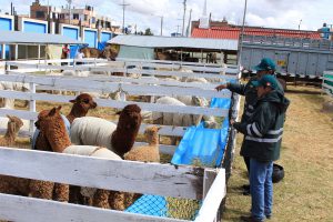 Senasa - Se inicia Fegasur con respaldo de instituciones del sector agrario