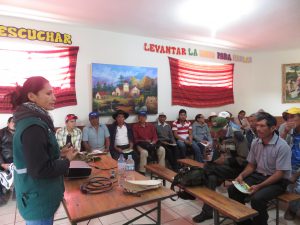 Senasa trabaja con pequeños productores de palta Hass en la identificación de plagas