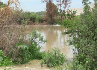 Ica: distrito de El Carmen fue el más afectado por las lluvias de El Niño costero