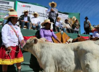 Minagri crea mecanismo para que ciudadanos vigilen sus contrataciones públicas