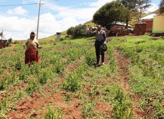 Andina – Minagri: Más de 7,500 campesinos ganan jornales descolmatando canales