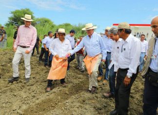 Minagri: Bonos de emergencia reactivarán la actividad agropecuaria