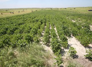 Minagri modifica pago por uso de agua superficial y subterránea