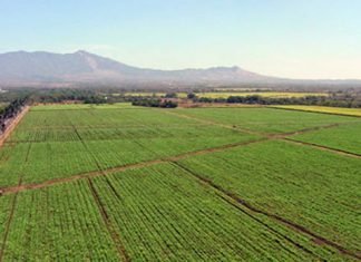 Consejo de Lambayeque da luz verde a transferencia en irrigación Olmos