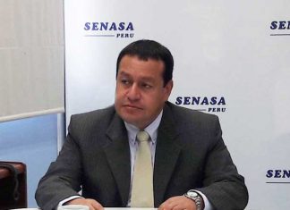 Áncash: Senasa consolida medidas preventivas contra la Peste Porcina Clásica