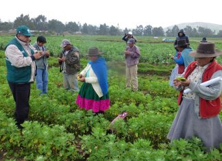 Senasa fortalece inocuidad agroalimentaria en comunidades altoandinas de Andahuaylas