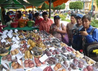 Ganadores del Festival de la Papa Amarilla en Huánuco presentan productos en Lima