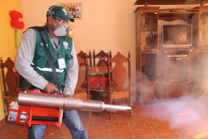 Senasa se suma a la segunda vuelta de fumigación para eliminar al mosquito transmisor del dengue 