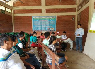 San Martín: Senasa asistirá a socios de cooperativas productoras de cacao