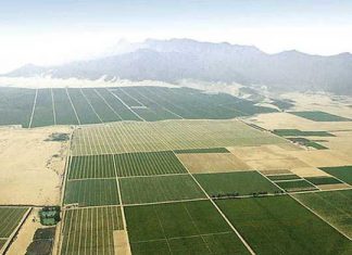 Minagri: Perú duplicará tierras para producción agrícola exportable en corto plazo