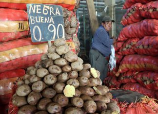 Andina: Precios habrían bajado en mayo nuevamente según analistas encuestados