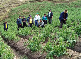 Andina – DRAH: Huancavelica reinicia proyecto para mejorar producción agrícola regional