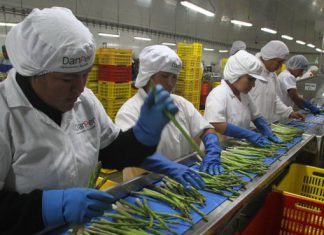 ¿Cómo fue el crecimiento de la canasta agroexportadora peruana por décadas?