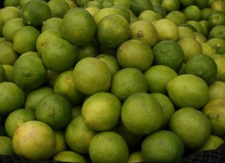 Minagri: Habrá más limón piurano en mesas de todo el Perú