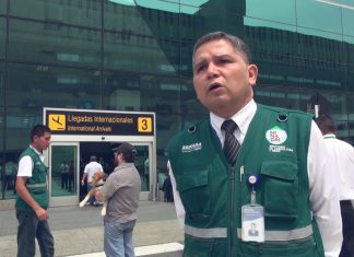 Senasa: Requisitos para viajar con tu mascota al extranjero