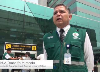 Senasa: Requisitos para ingresar con tu mascota al Perú