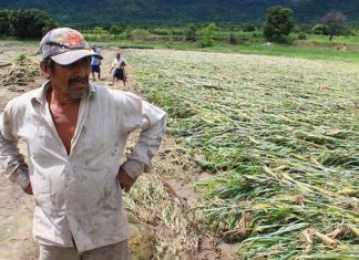 Minagri: Se eleva a S/. 132 millones monto que asignará MEF para rehabilitar infraestructura agrícola dañada por el Niño