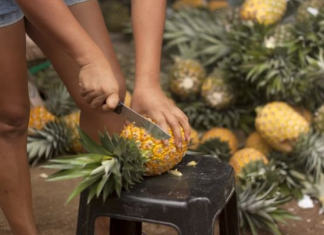 Minagri: Calidad irregular de la piña limita su potencial de exportación