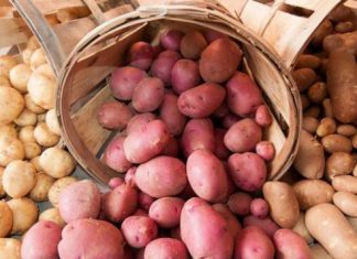 El Comercio – Minagri: Así ha evolucionado el precio de la papa durante este año