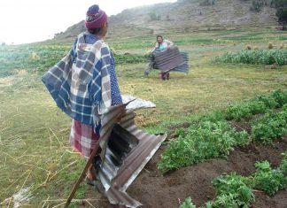 Vientos intensos en la sierra sur se incrementarán desde este mediodía