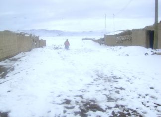 Senamhi: helada se intensificará en la sierra sur entre el jueves y viernes próximo